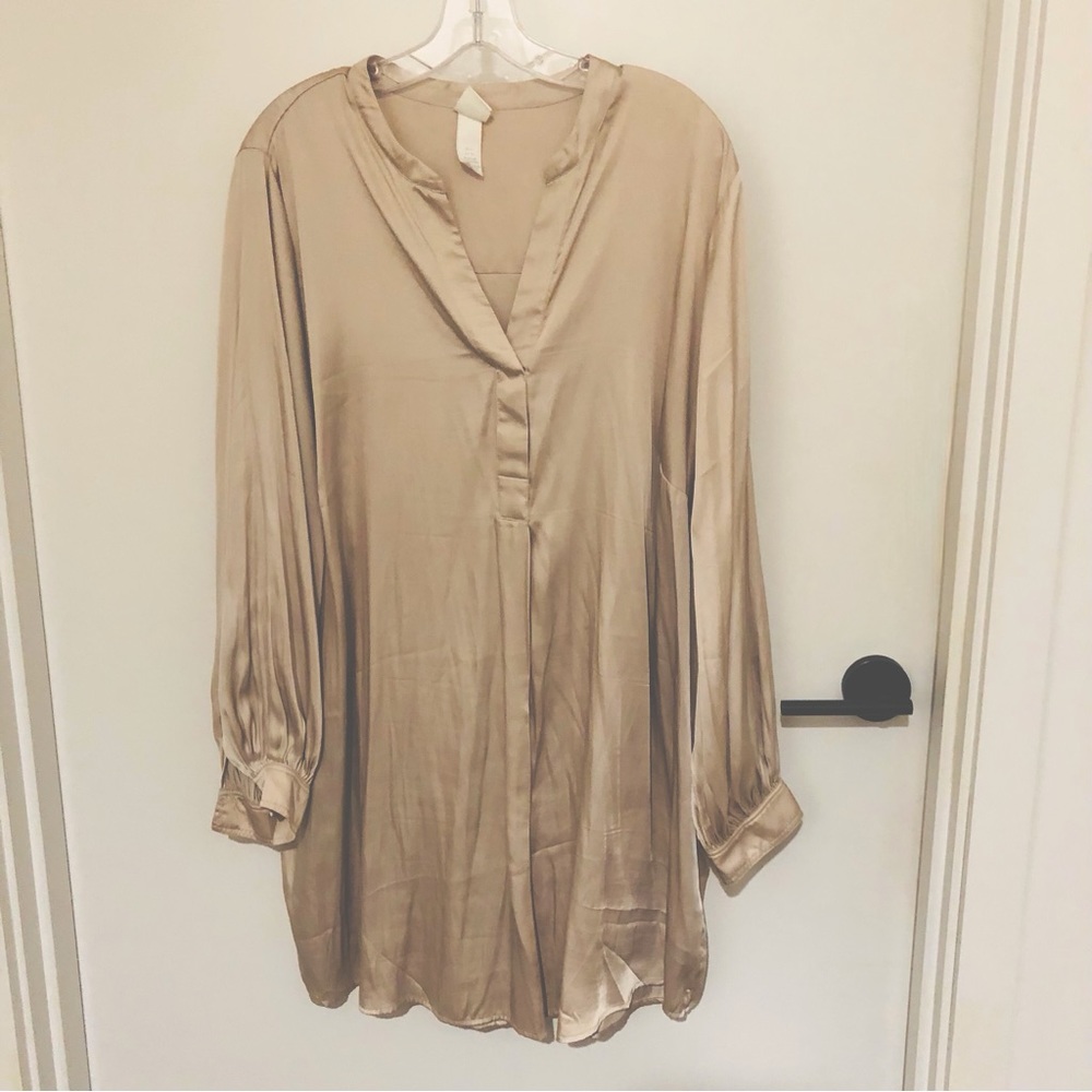 Beige Satin Shift with long sleeves